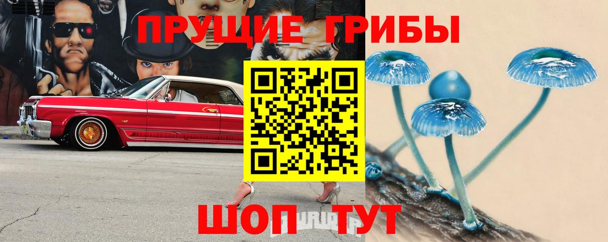 Галлюциногенные грибы прущие грибы Рузаевка